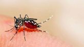 Of 25 Zika cases in Maharashtra, 21 reported from Pune