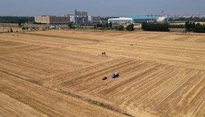 From Black Sea to US Midwest, extreme weather threatens crop output