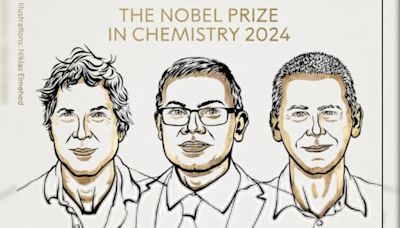 What Are Proteins Again? Nobel-Winning Chemistry Explained