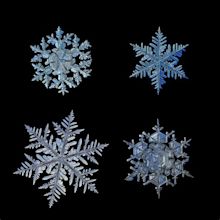 Macro Photos of Snowflakes Show Impossibly Perfect Designs