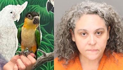 Woman arrested after allegedly stealing $2,400 bird from store in Oldsmar