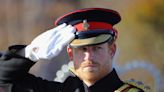 Prince Harry would diagnose royal staff with 'palace syndrome' when he was convinced they weren't loyal, new book claims