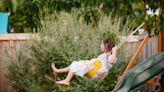 Shoppers flock to major supermarket to bag outdoor swing set scanning at £20