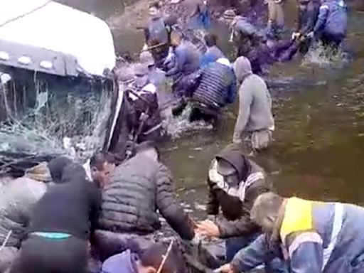 Video: un camión que transportaba vacas cayó al río Luján y los vecinos las faenaron en el acto