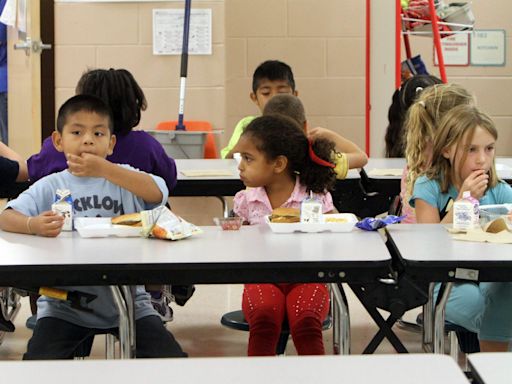 These 13 states — including Florida and Texas — opted out of a $2.5 billion federal food program that would help feed low-income kids this summer