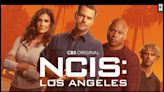 Depuis la fin de NCIS Los Angeles en 2023, cet acteur adoré du public a changé de carrière : "c'est une opportunité incroyable"