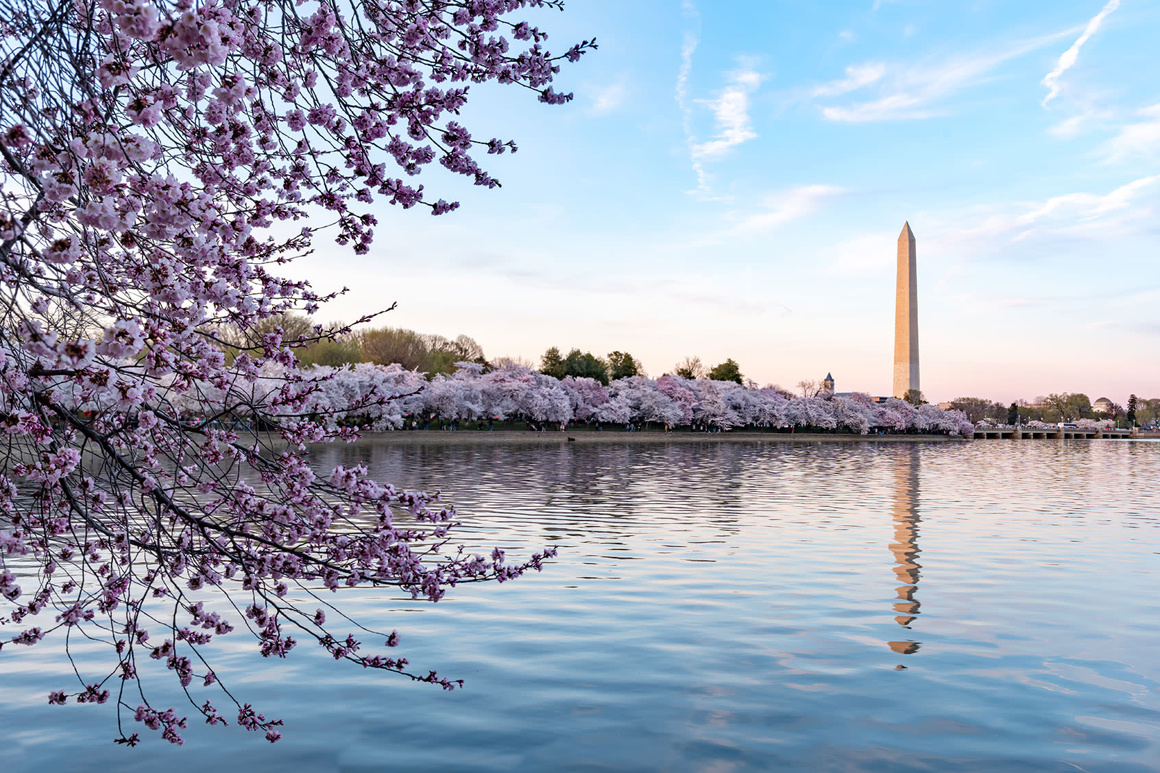 The trip that changed D.C. for me: Where to eat, stay and play in the city