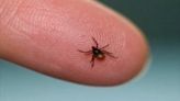 Tick season is upon us, WA State Department of Health says