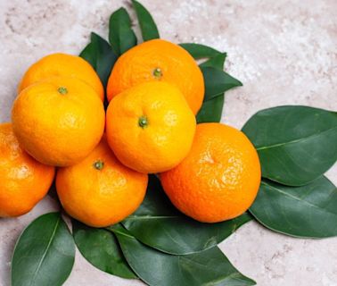 小林製藥引發紅麴風暴 柑橘類黃酮成替代新選擇