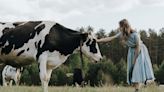 Udderly fascinating research reveals cows prefer hugs from women