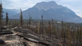 Jasper wildfire: Parks Canada says sprinkler system set up along townsite’s fireguard | Globalnews.ca
