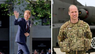 Prince William's New Military Role Is the 'Nail in the Coffin' for Prince Harry's Royal Career