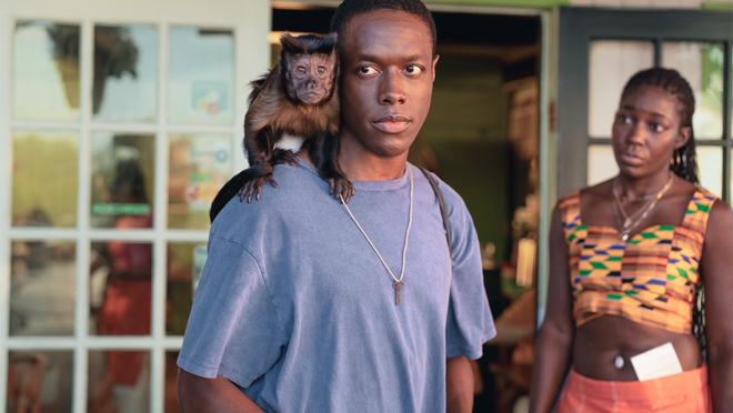 PETA slams Apple TV+ series ‘Bad Monkey’ claiming 'animal exploitation'