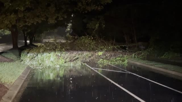 Trees down across the Triangle Monday morning after early morning storms