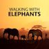 Walking with Elephants