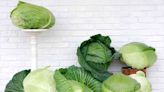 15 Giant Vegetable Varieties for Growing Tons of Produce