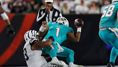 You won't believe how one USA Today NFL writer thinks the Miami Dolphins season will go