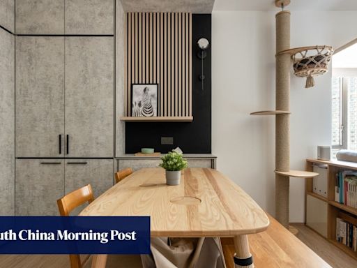 This Hong Kong home is minimalist, open-plan – and perfect for cats