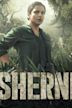 Sherni (2021 film)