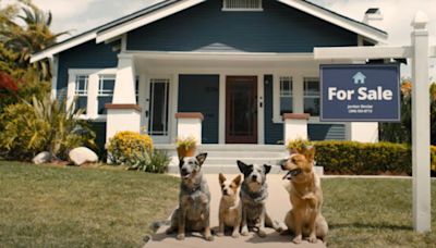 Zillow Pays Homage to Bluey With Ad About Selling Your Home