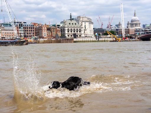 London weather: Four-day health alert triggered as 30C heatwave begins