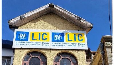 LIC's residual stake value surges in top groups on stock market boom
