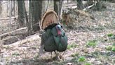 Pennsylvania's fall turkey hunting season starts Oct. 28. Here's what you need to know