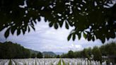 UN approves resolution to commemorate the 1995 Srebrenica genocide annually over Serb opposition