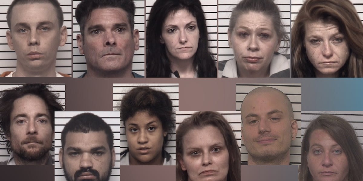 Sheriff: 11 arrested in Iredell County drug round-up operation