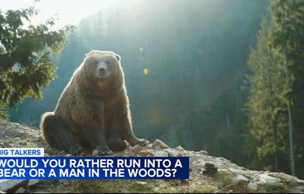 Bear vs man debate: Women respond after being asked which they would rather run into in the woods