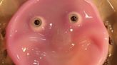 Smiling robot face is made from living human skin cells