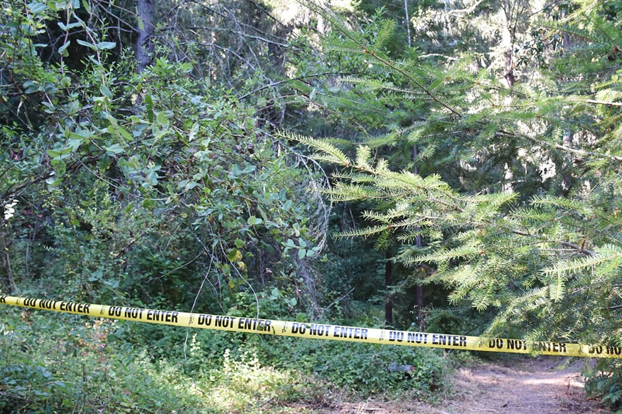 Missing California mother found dead near hiking trail, police say