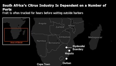 A Rare South African Export Success Is Threatened by Crumbling Ports