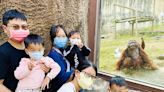 壽山動物園空橋擴張網讓遊客隱藏於上 友善方式拜訪動物