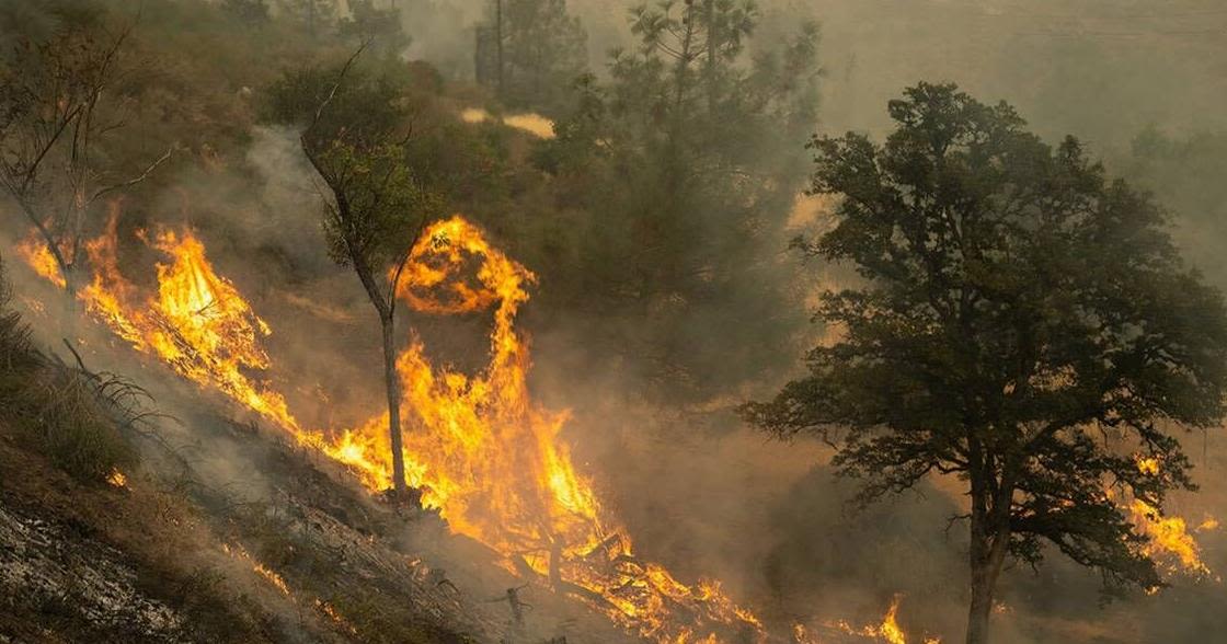 Park Fire update: Northern California blaze now 6th-largest wildfire in state history