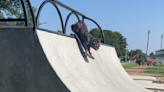 Watch: 'Rampage' the Skateboarding Dog Pulls a (Proper) Rock to Fakie on a Quarter Pipe, Our Minds are Blown