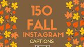 It’s Fall, Y’all! Say Hay to Autumn With These 150 Fall Instagram Captions