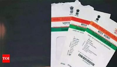 Aadhaar card update: Will my Aadhaar become invalid if not updated for 10 years, steps to update Aadhaar online, and other information | - Times of India