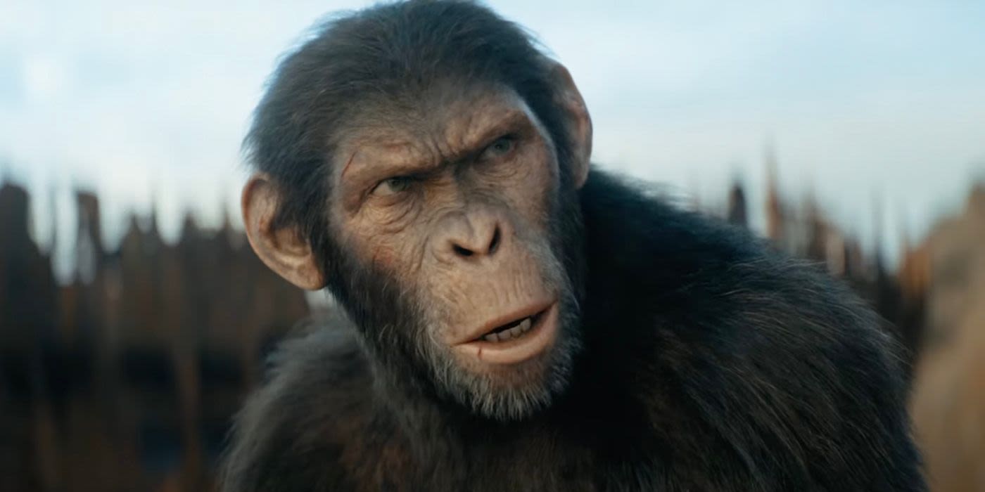Apes Take Over San Francisco in 'Kingdom of the Planet of the Apes' Marketing Campaign