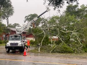 Trees, signs, power lines down as severe weather moves through Northeast Florida, Southeast Georgia