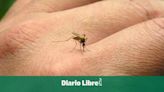 Reportan la primera muerte por dengue del 2024 en Puerto Rico