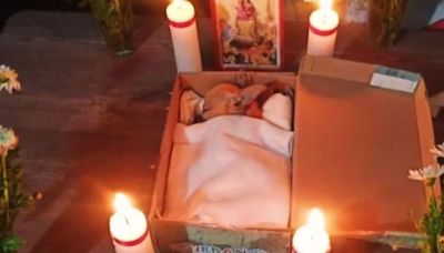 La emotiva despedida de ‘Ojitos’: el funeral de un perrito chihuahueño en Chiapas se hace viral