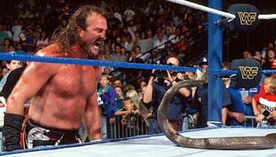 Jake Roberts asegura que hubiera preferido formar parte de The Four Horsemen que de nWo