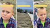 Viral video shows child calling out adults over careless behavior in national park: ‘Smart kid. Dumb adults.’