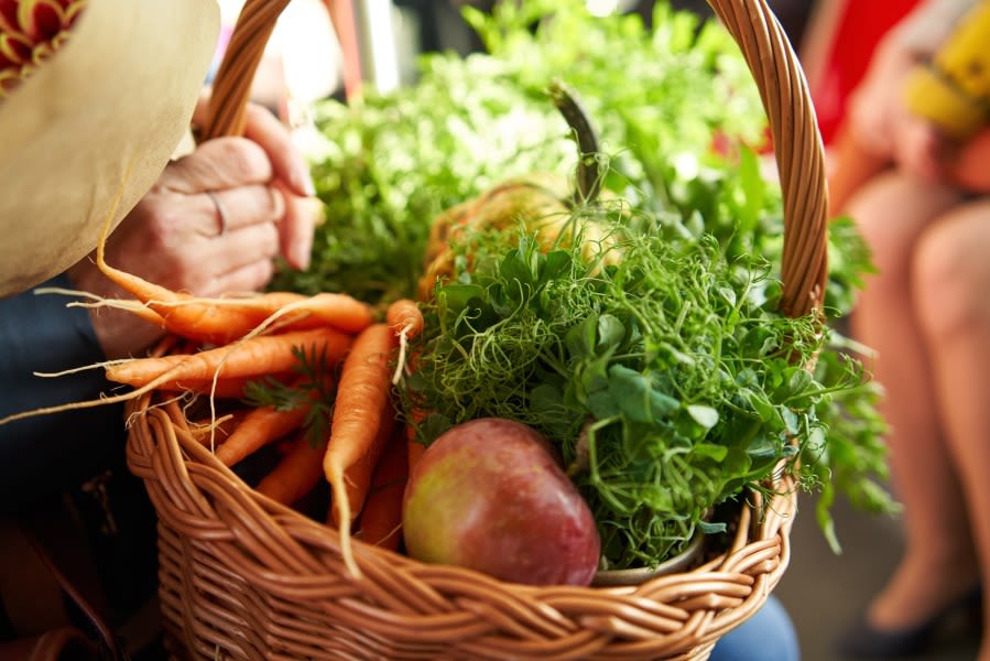 City of Lancaster giving away free plants, seeds and vegetables