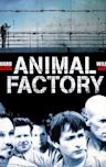 Animal Factory