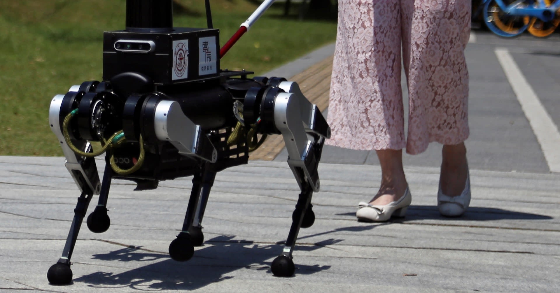 Chinese robot 'guide dog' aims to improve independence for visually impaired
