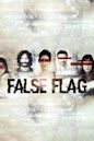 False Flag (TV series)