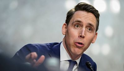 Hawley, Schmitt call on President Biden to resign after dropping out of presidential race