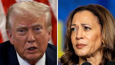 Kamala Harris leads Donald Trump in more than a dozen national polls